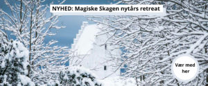 Nytårs retræte i Skagen
