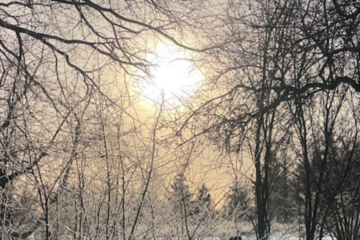 Nytaars-retreat-paa-danakilde.